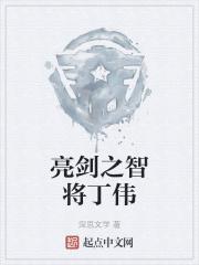亮剑之智将丁伟